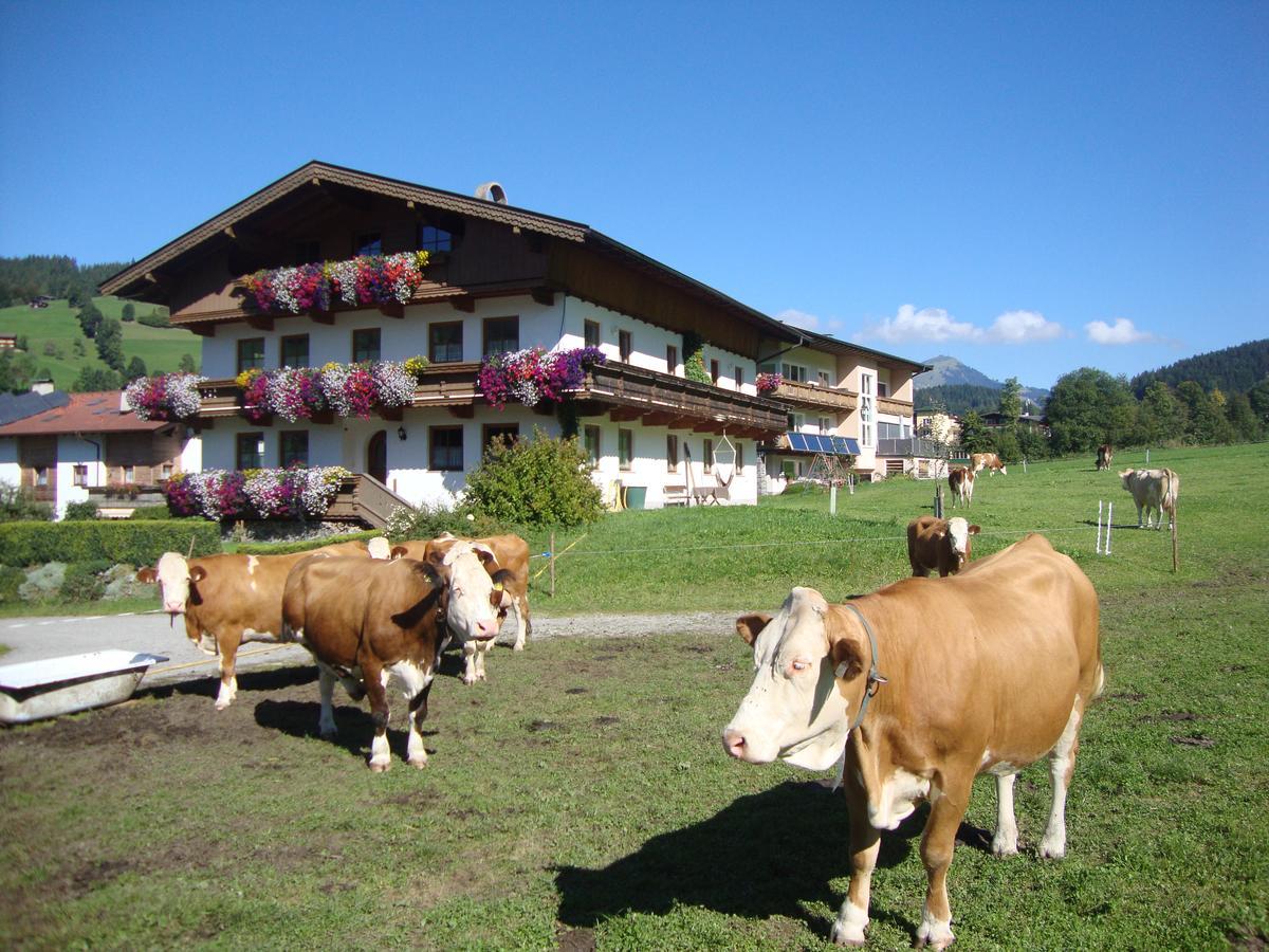 Apartamento Sixenhof Niederau Exterior foto